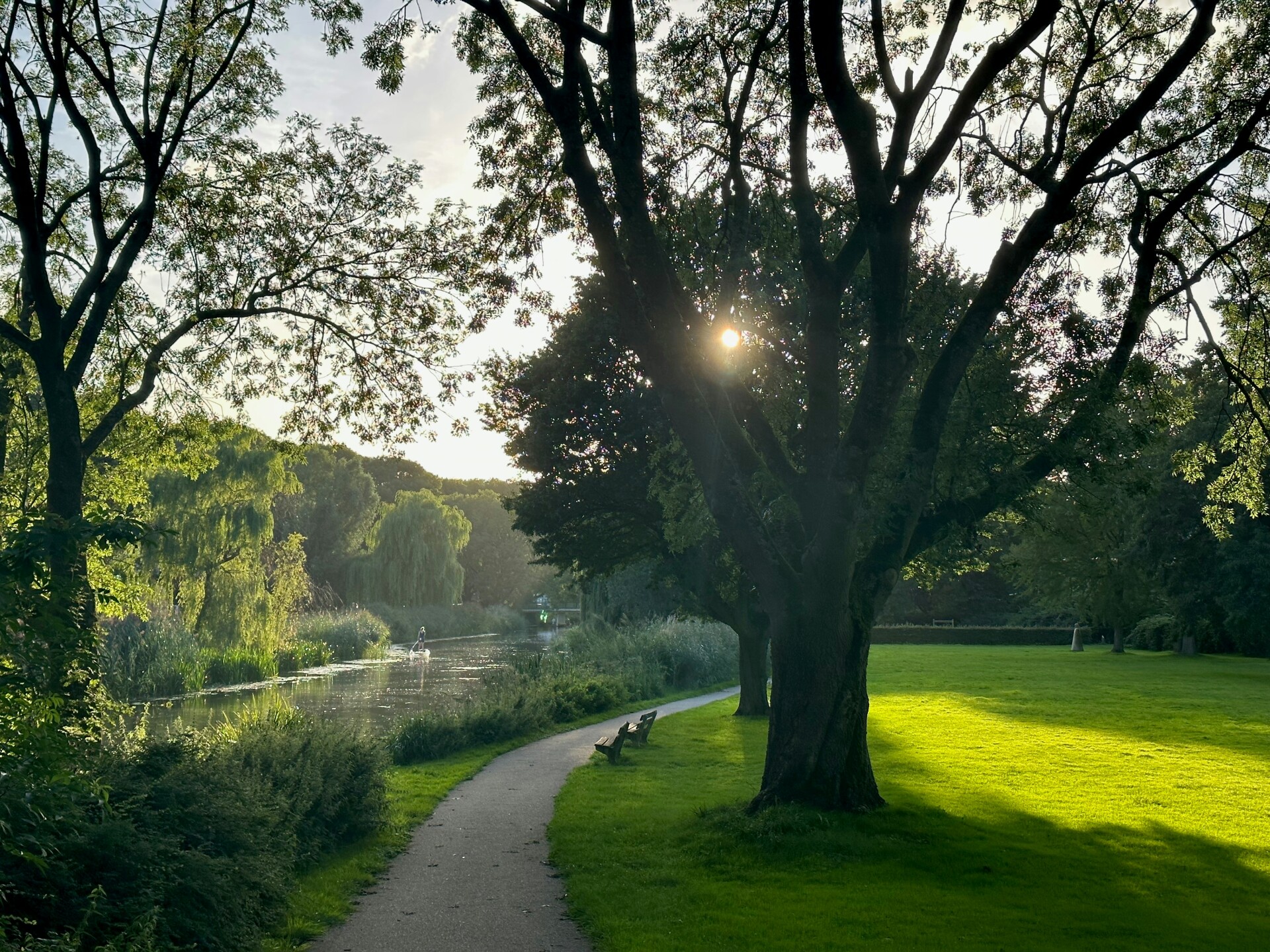 Pieter van mill iiiR JQzgxU unsplash